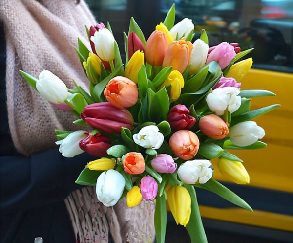 buy-tulips-barcelona