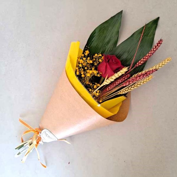 ROSA SANT JORDI " DRAC"