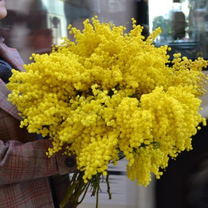 mimosa-flower-bouquet-barcelona