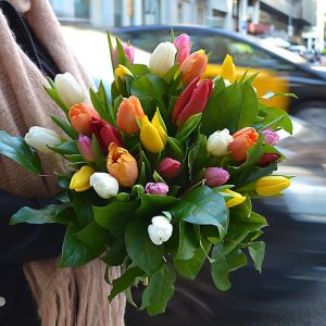 tulips-arrangement-barcelona
