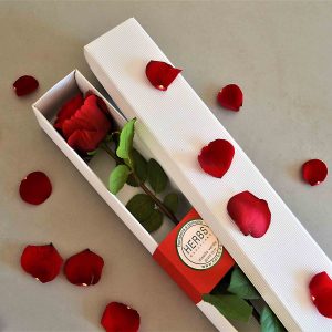 rose-box-barcelona