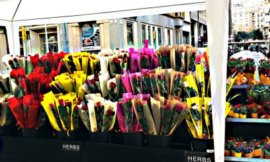 rosas-baratas-san-jordi