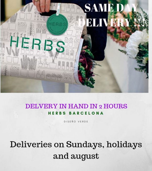 Send Flowers Barcelona Flowers Barcelona florist HERBS
