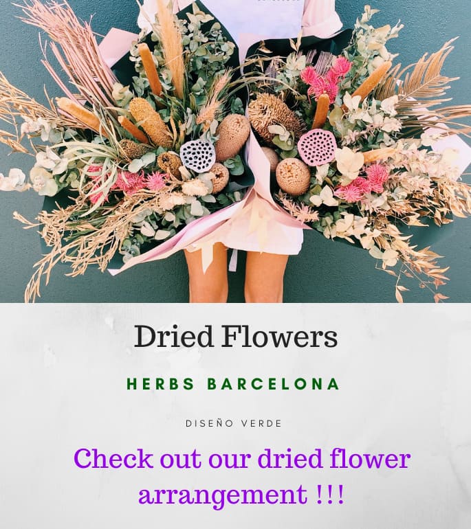 dried flowers