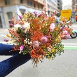 buy-cheap-dry-flowers-barcelona