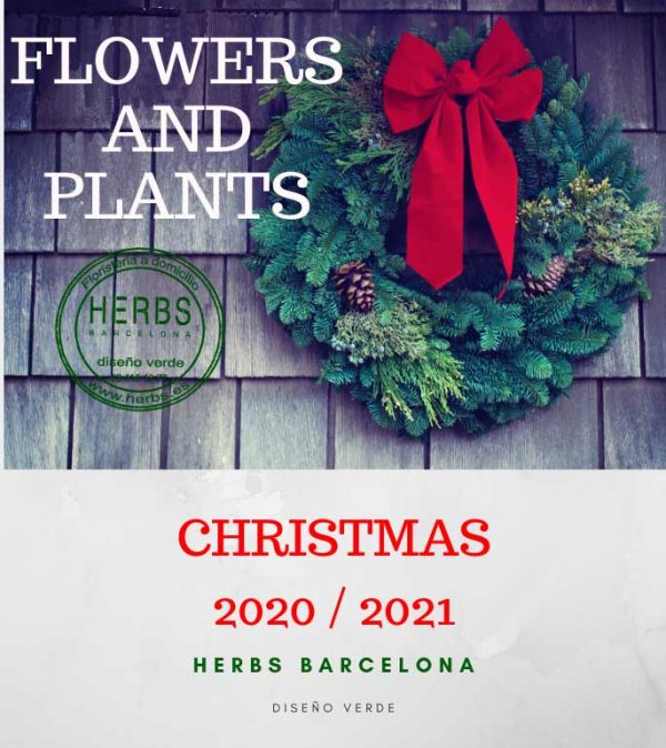 Send Flowers Barcelona Flowers Barcelona florist HERBS