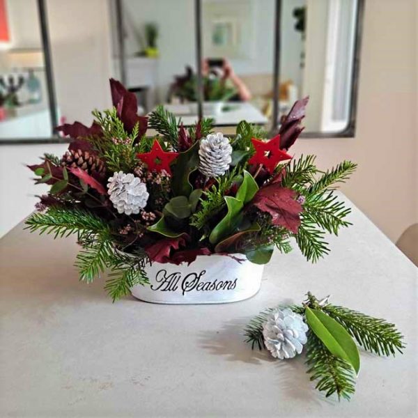 plants-associated-with-christmas