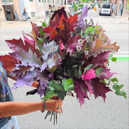 fall-flowers-barcelona