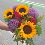 Sunflower-Alliums-Celosia-Pink-barcelona-delivery