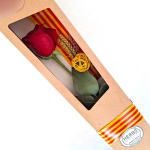 roses-for-sant-jordi-barcelona