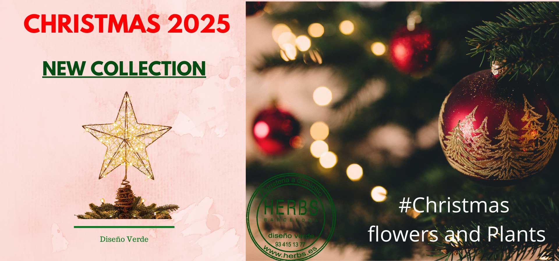 CHRISTMAS-FLOWERS-PLANTS