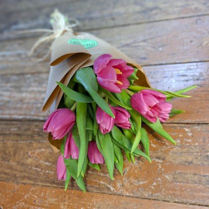 tulips-pinks-barcelona