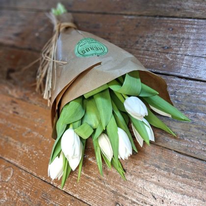 white-tulips-in-Barcelona