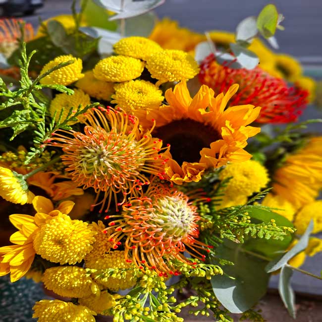 Flores sunflowers and proteas barcelona